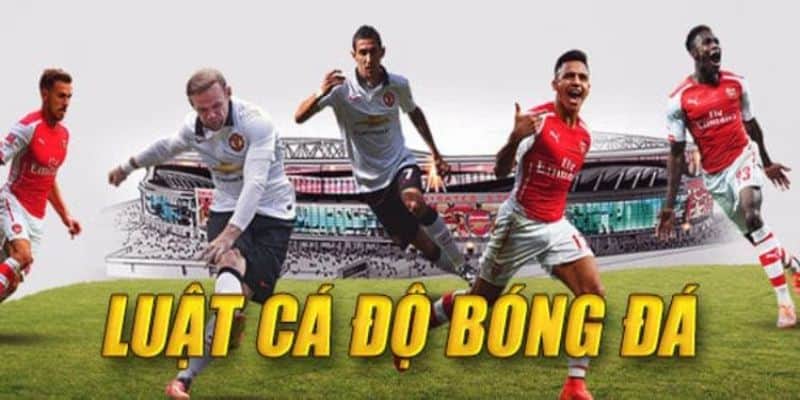 Cập nhật luật cá độ bóng đá mới nhất 6 Hướng dẫn luật cá độ bóng đá cơ bản
