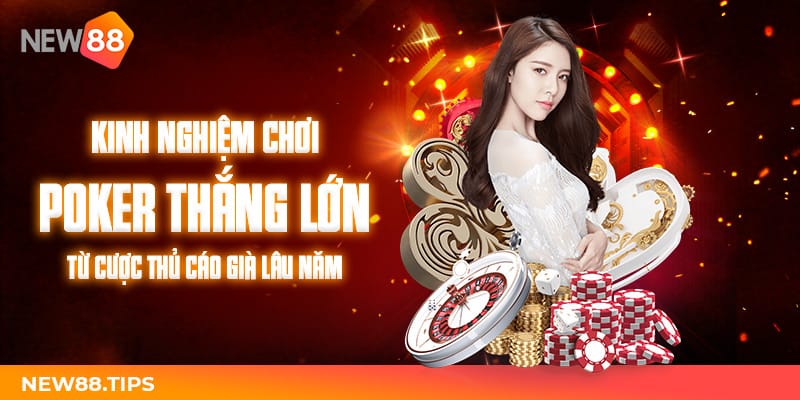 Kinh nghiệm chơi Poker thắng tại New88 từ cược thủ cáo già 5 Poker online là gì?