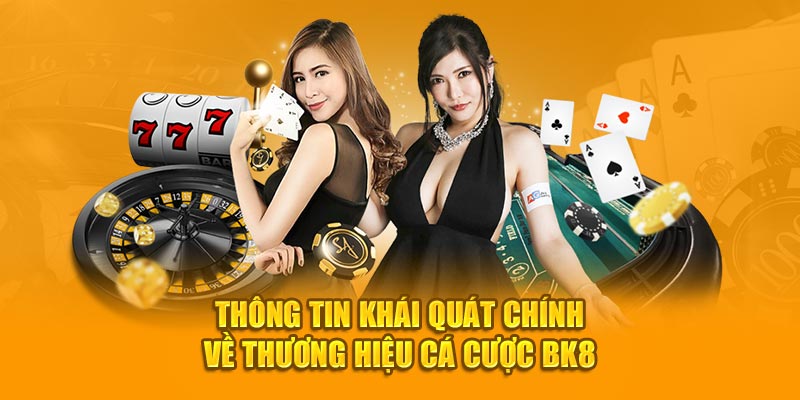 BK8 - Sân Chơi Cá Cược Hợp pháp, Dịch Vụ An Toàn Top 1 5 Thông tin khái quát chính về thương hiệu cá cược BK8